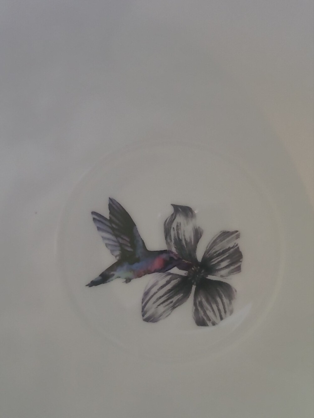 White Floral Hummingbird Porcelain Tea Cups PORTOBELLO by - Set of 2 - Picture 5 of 5
